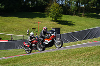 Vintage-motorcycle-club;eventdigitalimages;mallory-park;mallory-park-trackday-photographs;no-limits-trackdays;peter-wileman-photography;trackday-digital-images;trackday-photos;vmcc-festival-1000-bikes-photographs